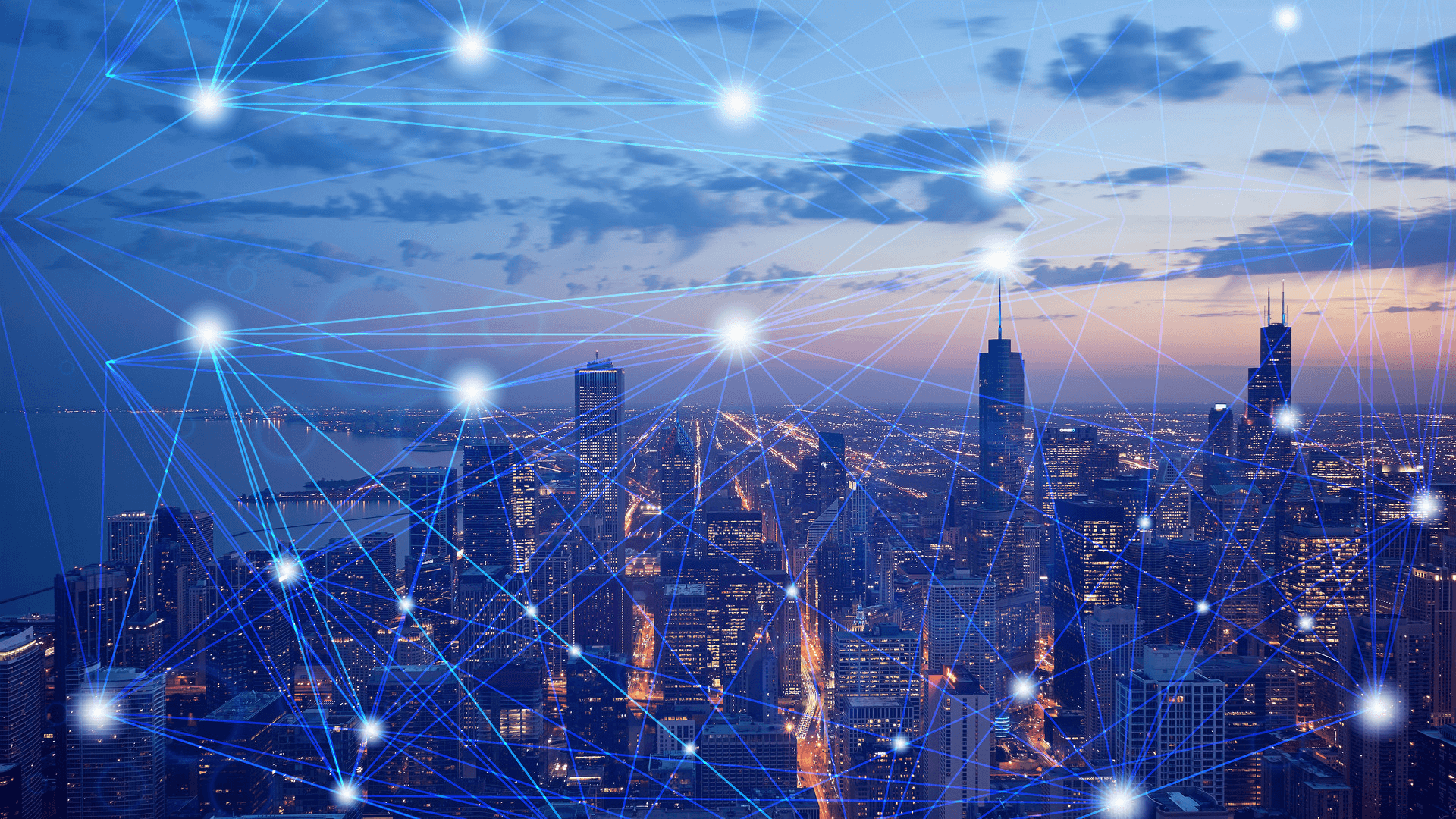 专注网站建设,用心服务客户